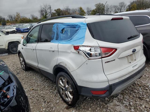 Photo 1 VIN: 1FMCU0GX1FUA23689 - FORD ESCAPE 