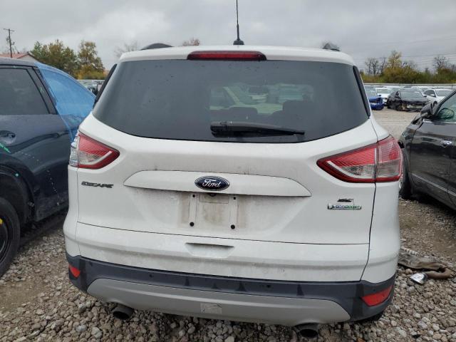 Photo 5 VIN: 1FMCU0GX1FUA23689 - FORD ESCAPE 