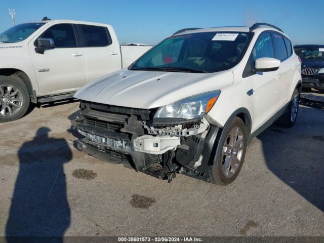 Photo 5 VIN: 1FMCU0GX1GUB87400 - FORD ESCAPE 