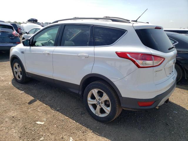 Photo 1 VIN: 1FMCU0GX2DUA20569 - FORD ESCAPE SE 