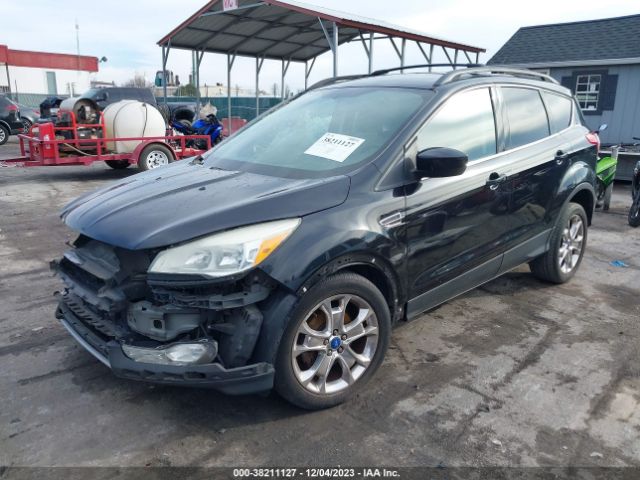 Photo 1 VIN: 1FMCU0GX2DUC09481 - FORD ESCAPE 