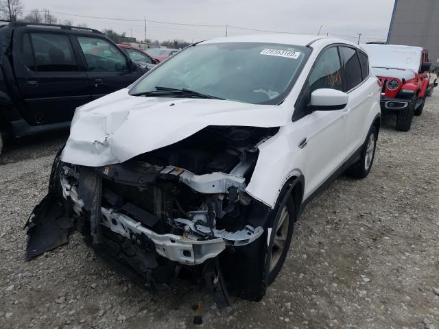 Photo 1 VIN: 1FMCU0GX2DUD03635 - FORD ESCAPE SE 