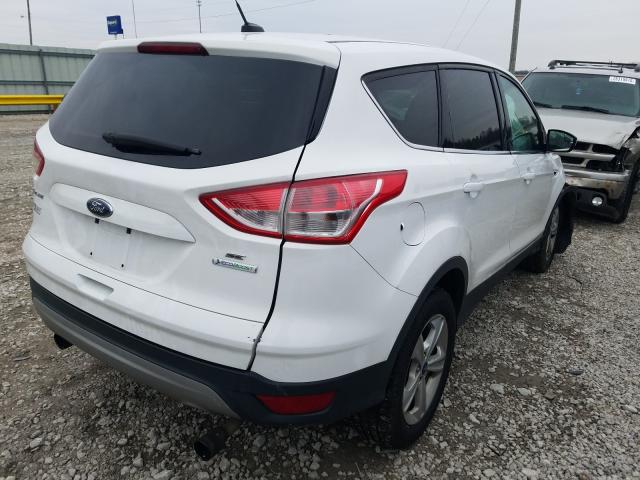 Photo 3 VIN: 1FMCU0GX2DUD03635 - FORD ESCAPE SE 