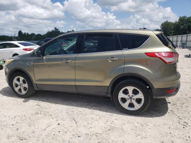 Photo 1 VIN: 1FMCU0GX2DUD83891 - FORD ESCAPE 