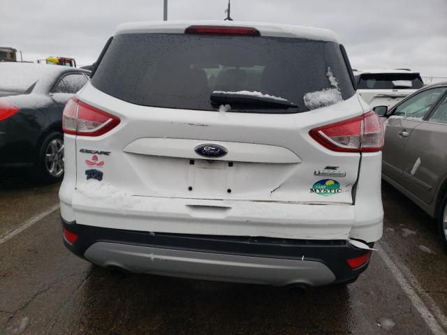 Photo 5 VIN: 1FMCU0GX2EUA29399 - FORD ESCAPE SE 