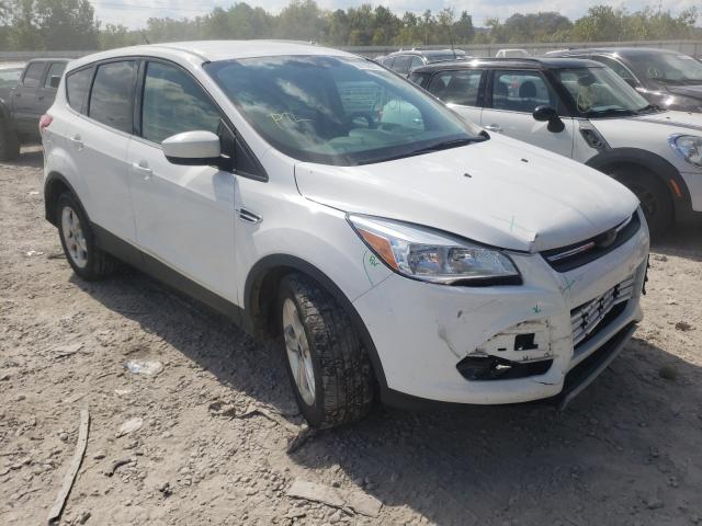 Photo 0 VIN: 1FMCU0GX2EUA66422 - FORD ESCAPE SE 