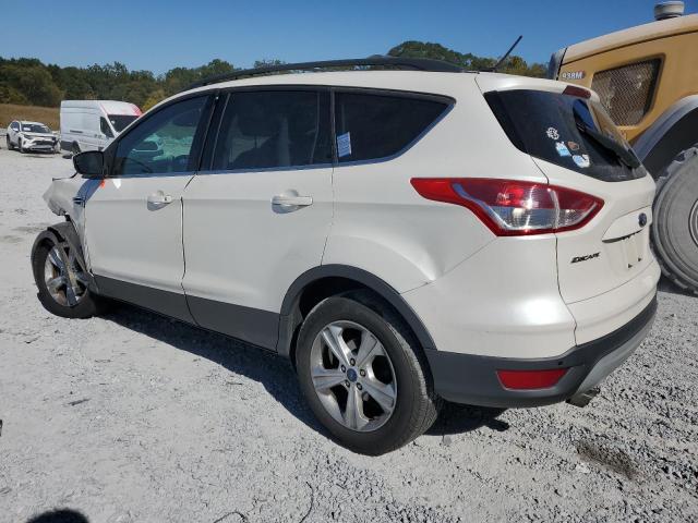 Photo 1 VIN: 1FMCU0GX2EUA73693 - FORD ESCAPE SE 