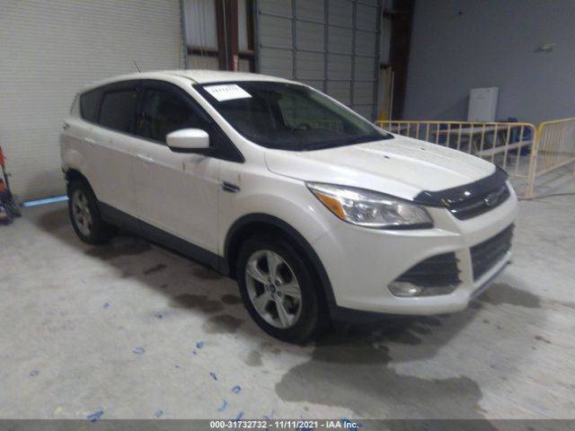 Photo 0 VIN: 1FMCU0GX2EUB04845 - FORD ESCAPE 