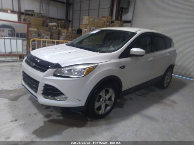 Photo 1 VIN: 1FMCU0GX2EUB04845 - FORD ESCAPE 