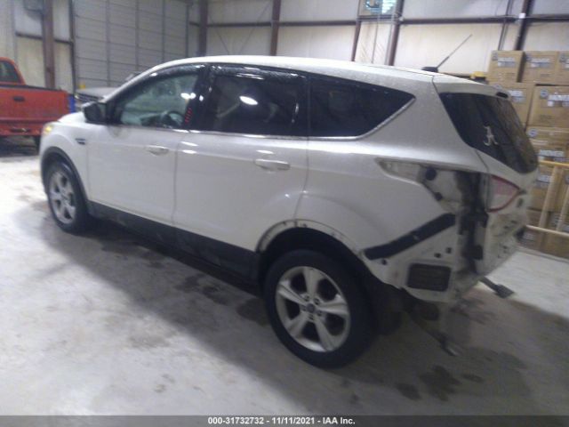 Photo 2 VIN: 1FMCU0GX2EUB04845 - FORD ESCAPE 