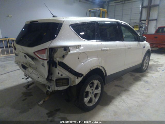 Photo 3 VIN: 1FMCU0GX2EUB04845 - FORD ESCAPE 