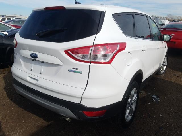 Photo 3 VIN: 1FMCU0GX2EUB05963 - FORD ESCAPE SE 