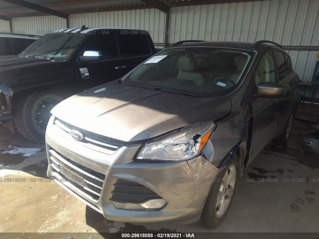 Photo 1 VIN: 1FMCU0GX2EUB07762 - FORD ESCAPE 