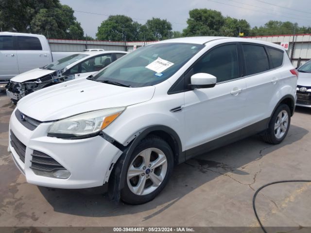 Photo 1 VIN: 1FMCU0GX2EUB61904 - FORD ESCAPE 