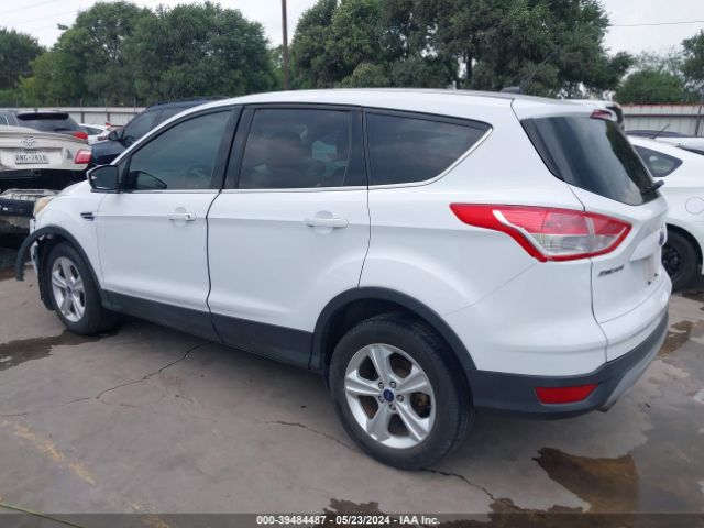 Photo 2 VIN: 1FMCU0GX2EUB61904 - FORD ESCAPE 