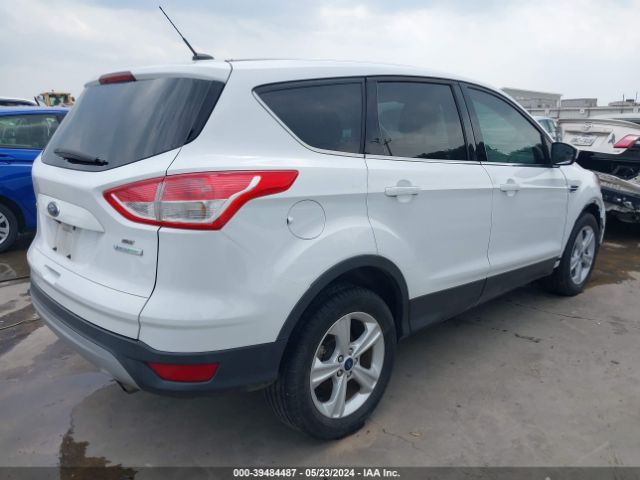 Photo 3 VIN: 1FMCU0GX2EUB61904 - FORD ESCAPE 