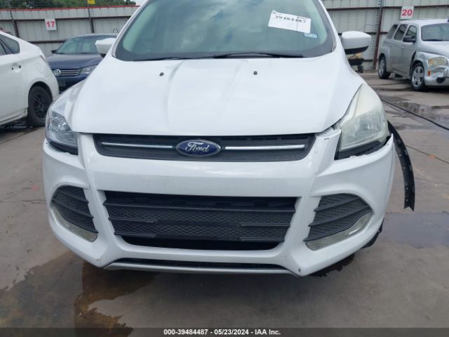 Photo 5 VIN: 1FMCU0GX2EUB61904 - FORD ESCAPE 