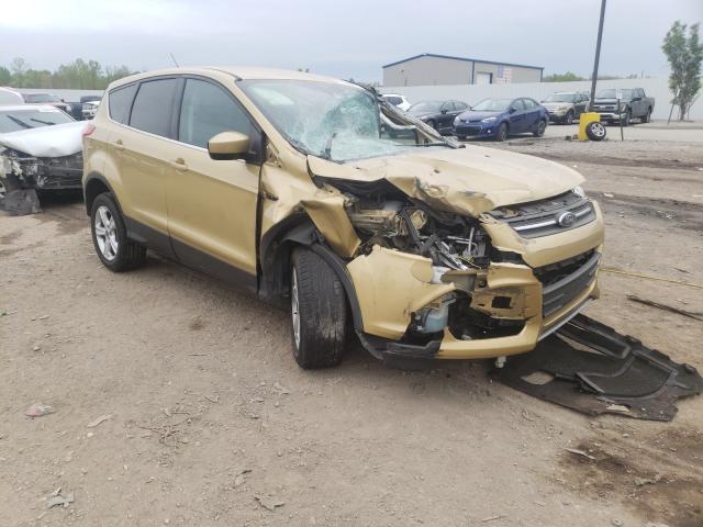 Photo 0 VIN: 1FMCU0GX2EUB96376 - FORD ESCAPE SE 