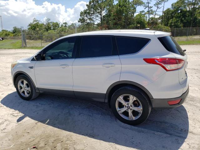 Photo 1 VIN: 1FMCU0GX2EUC00944 - FORD ESCAPE 