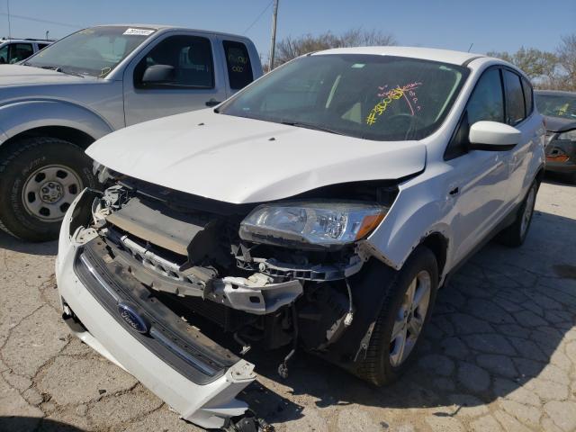 Photo 1 VIN: 1FMCU0GX2EUC09207 - FORD ESCAPE SE 