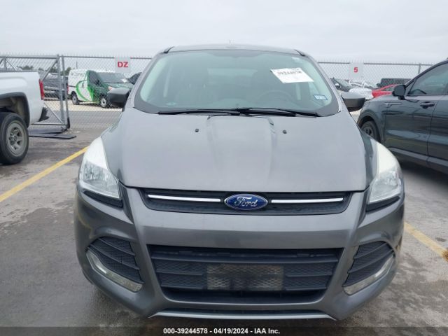 Photo 5 VIN: 1FMCU0GX2EUC20627 - FORD ESCAPE 