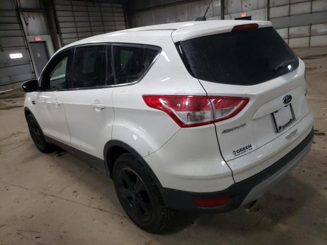 Photo 1 VIN: 1FMCU0GX2EUC52140 - FORD ESCAPE SE 