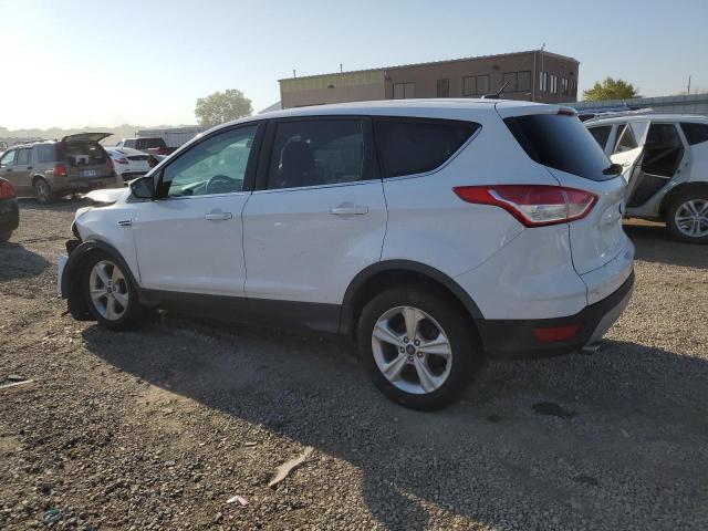 Photo 1 VIN: 1FMCU0GX2EUC53417 - FORD ESCAPE SE 