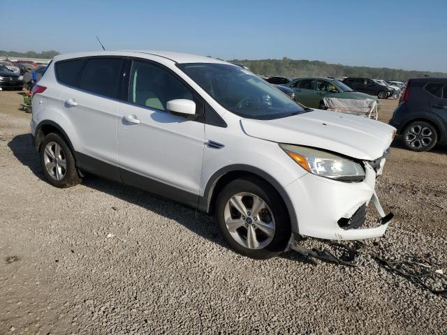 Photo 3 VIN: 1FMCU0GX2EUC53417 - FORD ESCAPE SE 