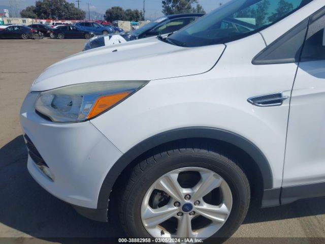 Photo 5 VIN: 1FMCU0GX2EUC69911 - FORD ESCAPE 