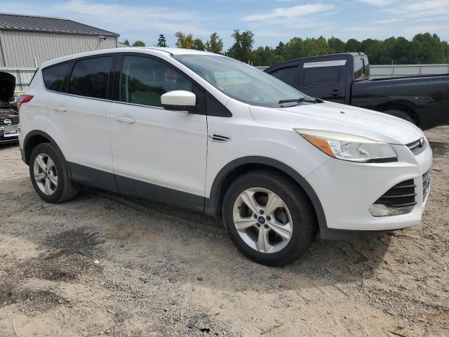 Photo 3 VIN: 1FMCU0GX2EUD06195 - FORD ESCAPE SE 