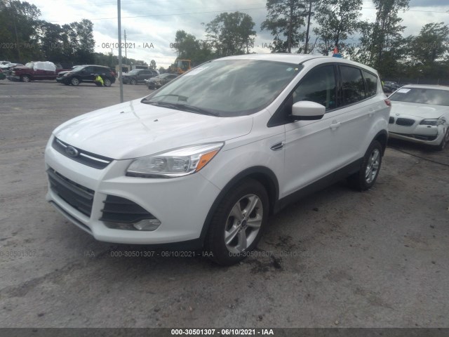 Photo 1 VIN: 1FMCU0GX2EUD41562 - FORD ESCAPE 