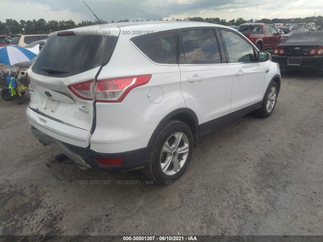 Photo 3 VIN: 1FMCU0GX2EUD41562 - FORD ESCAPE 