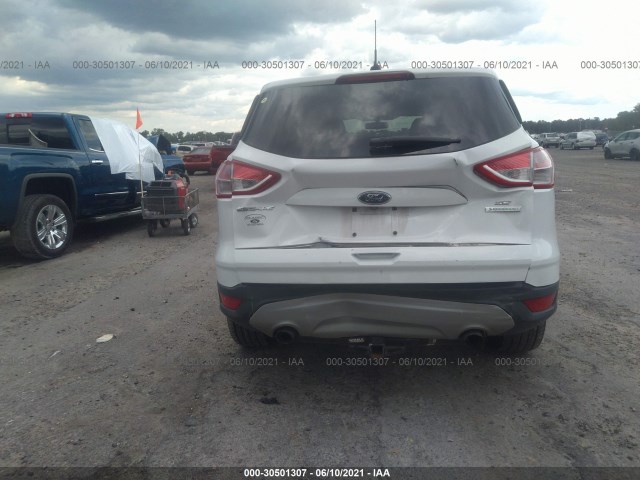 Photo 5 VIN: 1FMCU0GX2EUD41562 - FORD ESCAPE 