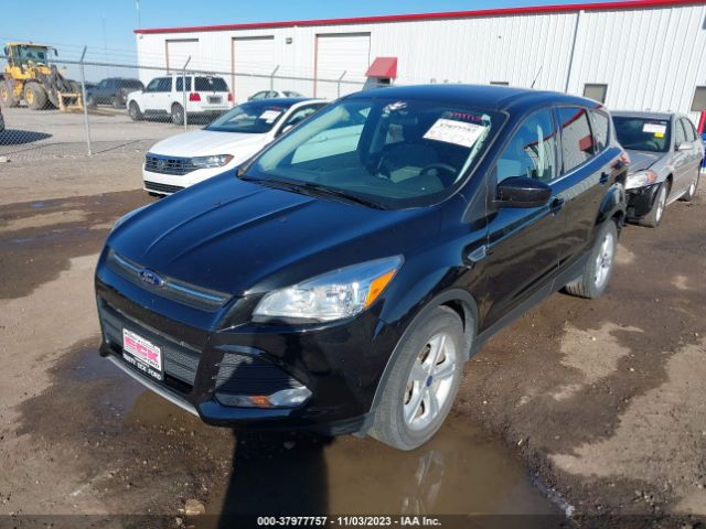 Photo 1 VIN: 1FMCU0GX2EUD58135 - FORD ESCAPE 