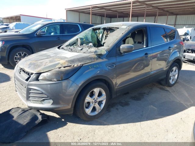 Photo 1 VIN: 1FMCU0GX2EUE20665 - FORD ESCAPE 