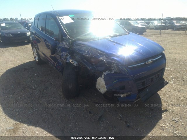 Photo 5 VIN: 1FMCU0GX2EUE37255 - FORD ESCAPE 