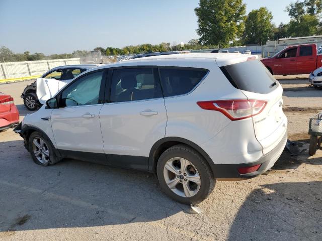 Photo 1 VIN: 1FMCU0GX2EUE41774 - FORD ESCAPE SE 