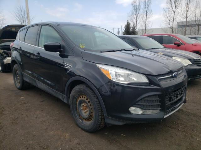 Photo 0 VIN: 1FMCU0GX2EUE42505 - FORD ESCAPE SE 