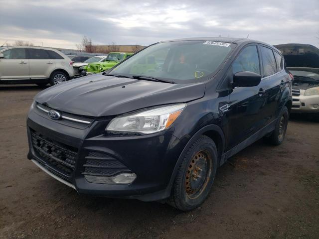 Photo 1 VIN: 1FMCU0GX2EUE42505 - FORD ESCAPE SE 