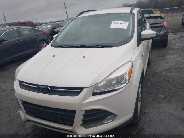 Photo 5 VIN: 1FMCU0GX2FUA68785 - FORD ESCAPE 