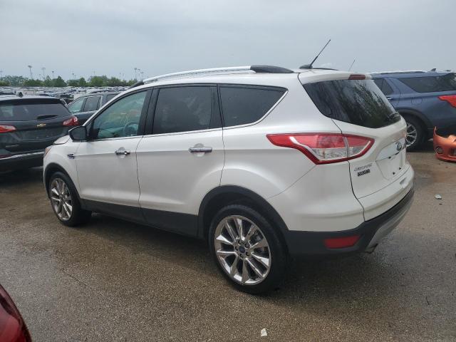 Photo 1 VIN: 1FMCU0GX2GUB81508 - FORD ESCAPE 