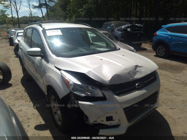 Photo 0 VIN: 1FMCU0GX3DUA02971 - FORD ESCAPE 