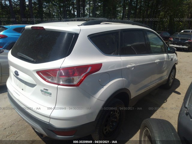 Photo 3 VIN: 1FMCU0GX3DUA02971 - FORD ESCAPE 