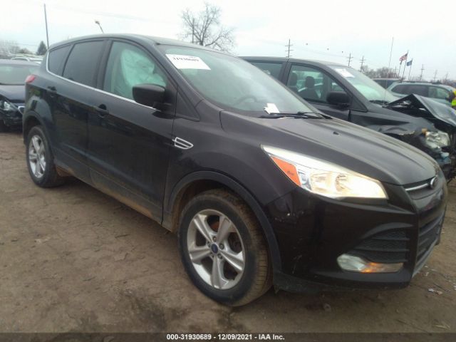 Photo 0 VIN: 1FMCU0GX3DUB03623 - FORD ESCAPE 