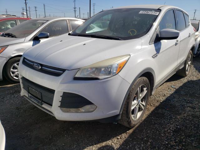 Photo 1 VIN: 1FMCU0GX3DUB98619 - FORD ESCAPE SE 