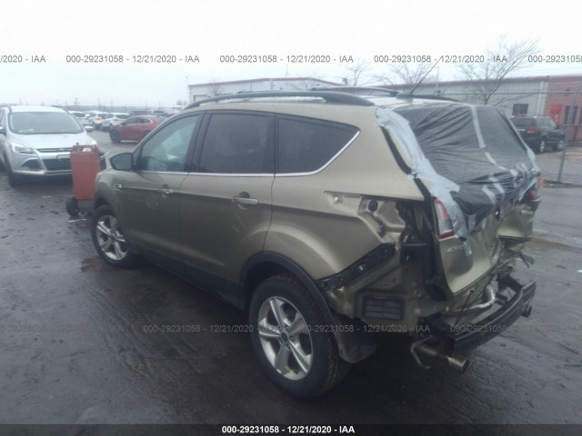 Photo 2 VIN: 1FMCU0GX3DUC02541 - FORD ESCAPE 