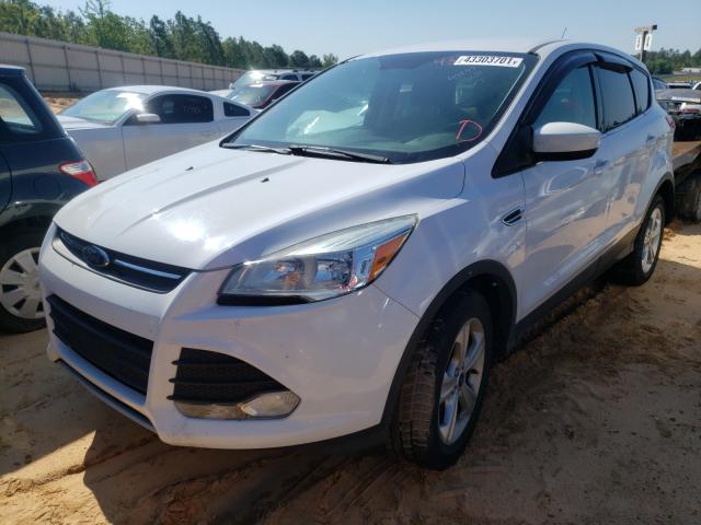 Photo 1 VIN: 1FMCU0GX3DUD75489 - FORD ESCAPE SE 