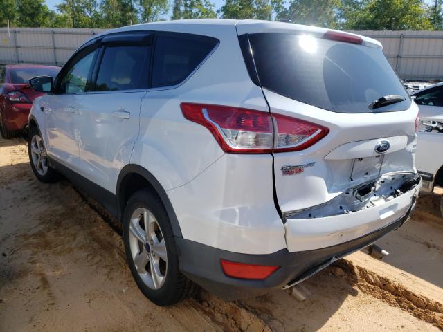 Photo 2 VIN: 1FMCU0GX3DUD75489 - FORD ESCAPE SE 