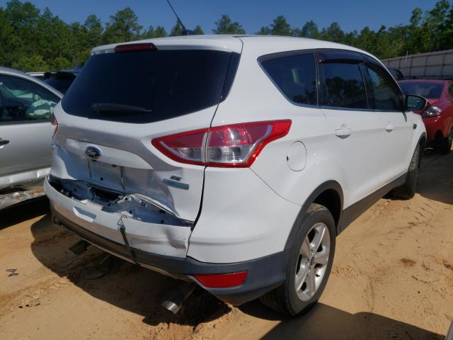 Photo 3 VIN: 1FMCU0GX3DUD75489 - FORD ESCAPE SE 