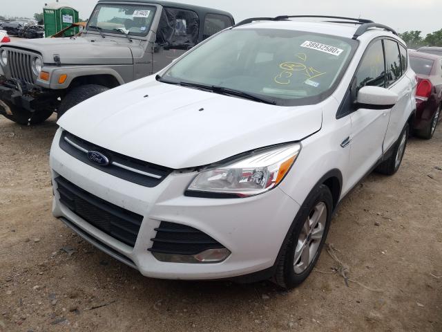 Photo 1 VIN: 1FMCU0GX3EUA21635 - FORD ESCAPE SE 